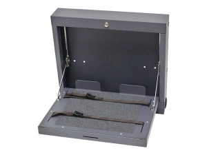Datamation Systems DS-NSS-WM-2 - Notebook security cabinet - wall mountable - charcoal DS-NSS-WM-2-SG
