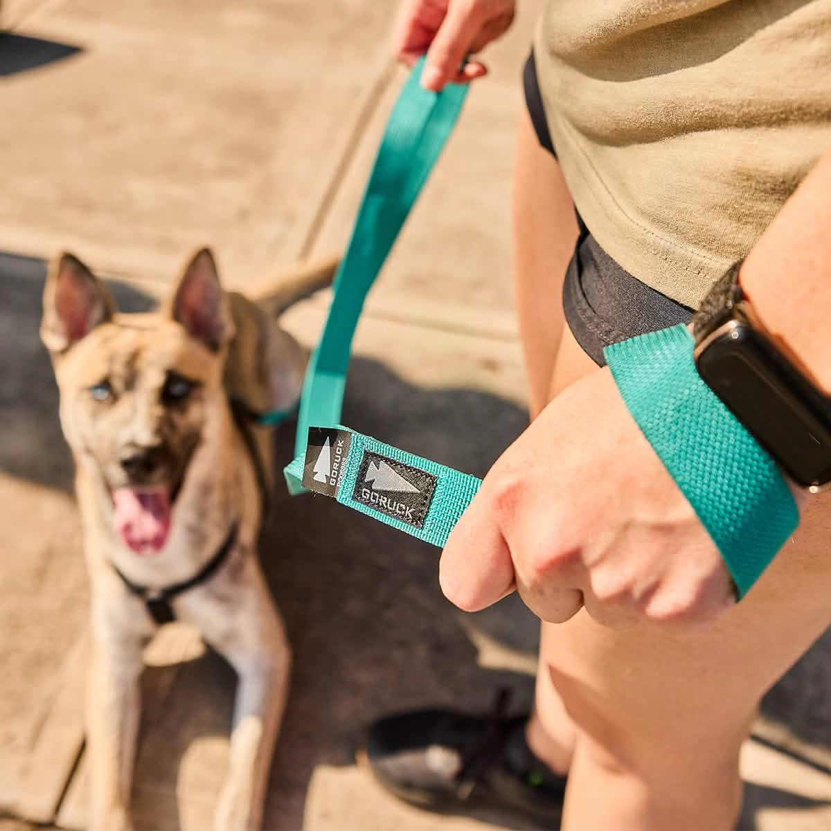 Dog Leash