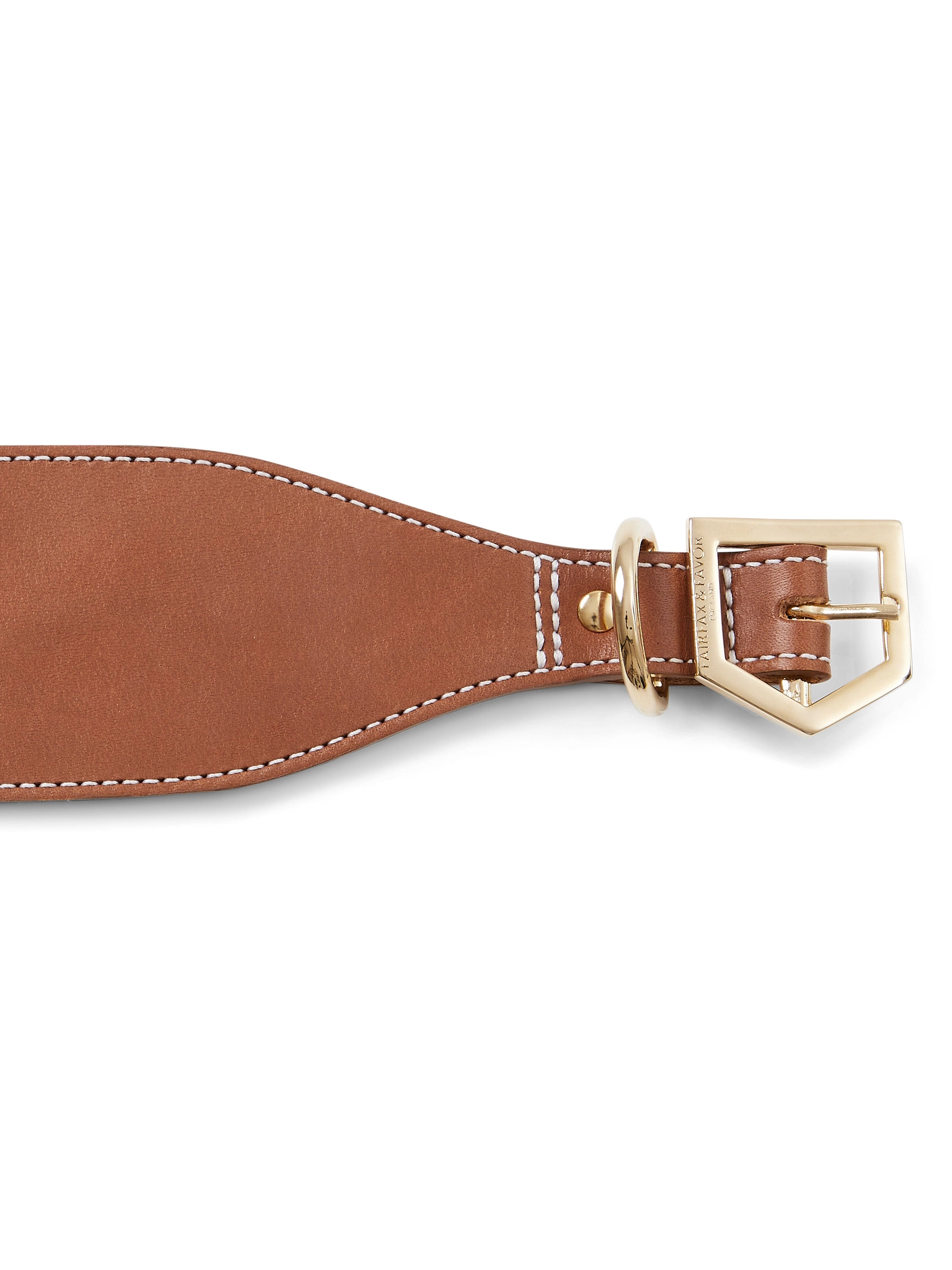 Fig Whippet Dog Collar - Tan