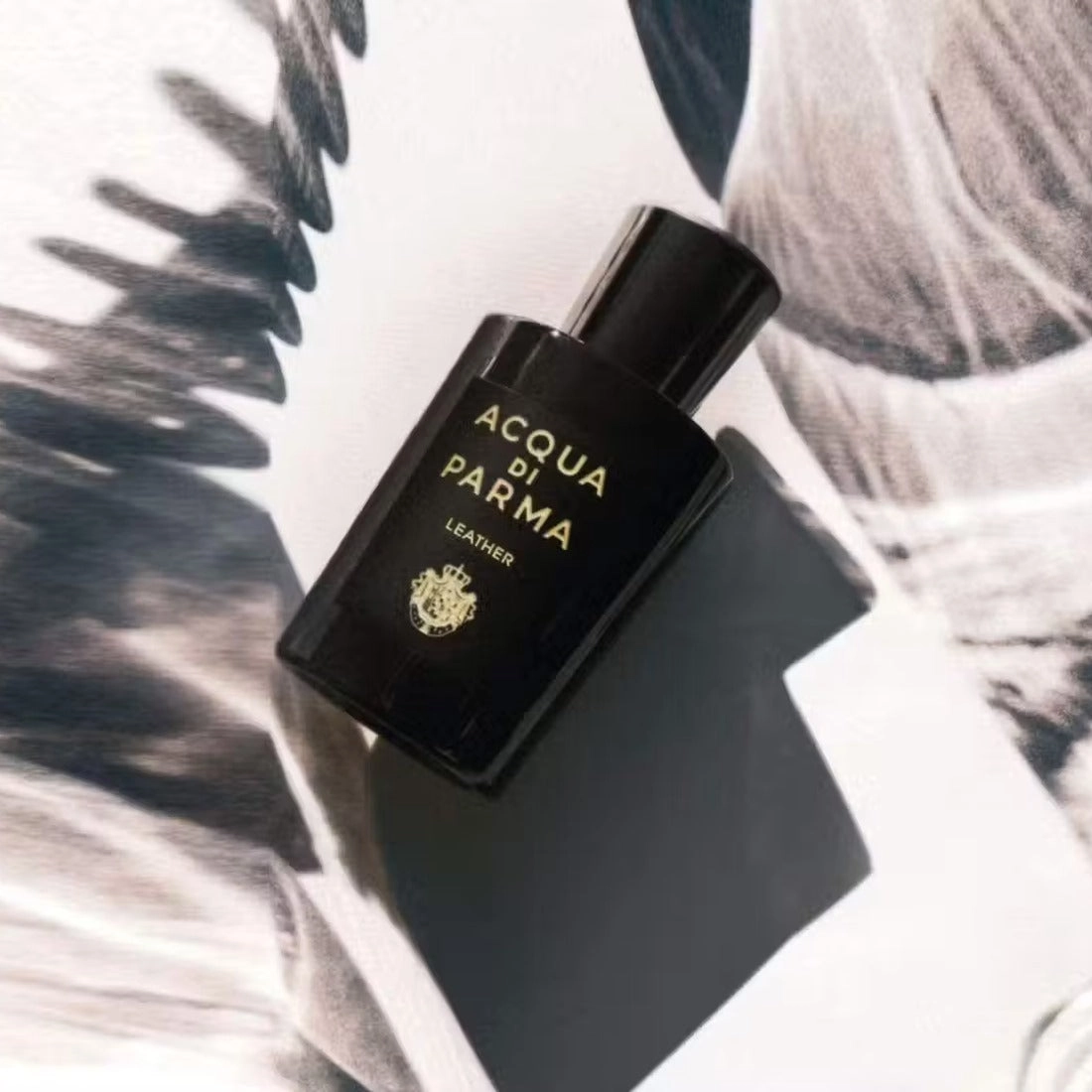 Leather By Acqua di Parma Eau de Parfum Spray 3.4 oz