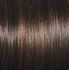 Radiant Beauty Wig by Gabor | Synthetic (Lace Front Mono Part)