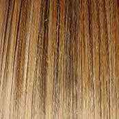 Radiant Beauty Wig by Gabor | Synthetic (Lace Front Mono Part)