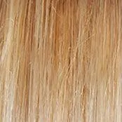 Radiant Beauty Wig by Gabor | Synthetic (Lace Front Mono Part)