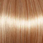 Radiant Beauty Wig by Gabor | Synthetic (Lace Front Mono Part)