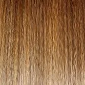Radiant Beauty Wig by Gabor | Synthetic (Lace Front Mono Part)