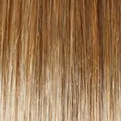 Radiant Beauty Wig by Gabor | Synthetic (Lace Front Mono Part)