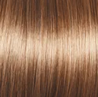Radiant Beauty Wig by Gabor | Synthetic (Lace Front Mono Part)