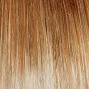 Radiant Beauty Wig by Gabor | Synthetic (Lace Front Mono Part)