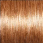 Radiant Beauty Wig by Gabor | Synthetic (Lace Front Mono Part)