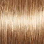 Radiant Beauty Wig by Gabor | Synthetic (Lace Front Mono Part)
