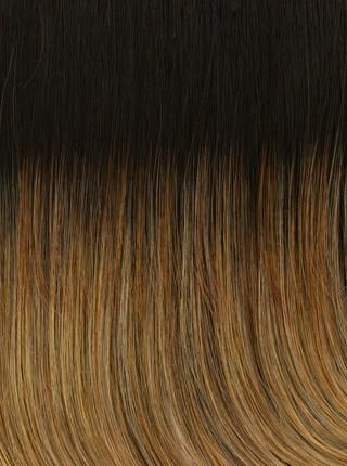 Spotlight Wig by Raquel Welch | Heat Friendly Synthetic (Lace Front Mono Top)
