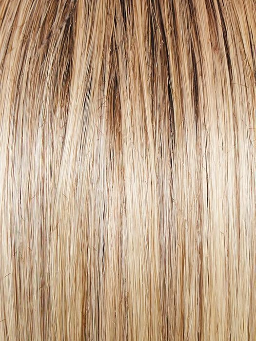 Spotlight Wig by Raquel Welch | Heat Friendly Synthetic (Lace Front Mono Top)
