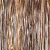 Spotlight Wig by Raquel Welch | Heat Friendly Synthetic Large (Lace Front Mono Top)