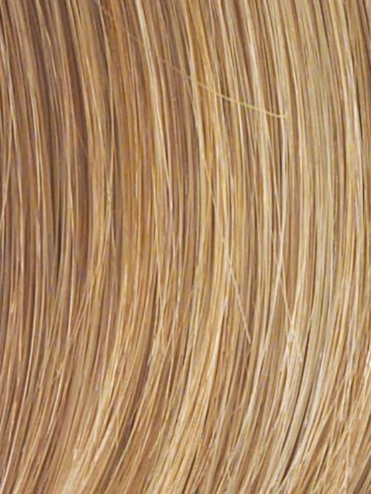 Spotlight Wig by Raquel Welch | Heat Friendly Synthetic Large (Lace Front Mono Top)