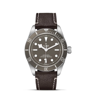 TUDOR Black Bay 58 925 Silver 39mm Taupe Dial Watch M79010SG-0001