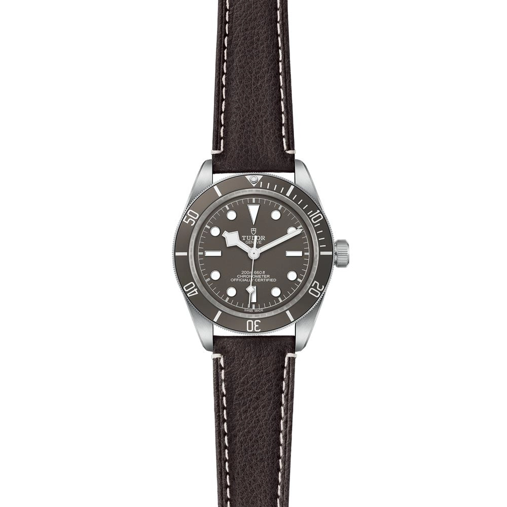 TUDOR Black Bay 58 925 Silver 39mm Taupe Dial Watch M79010SG-0001
