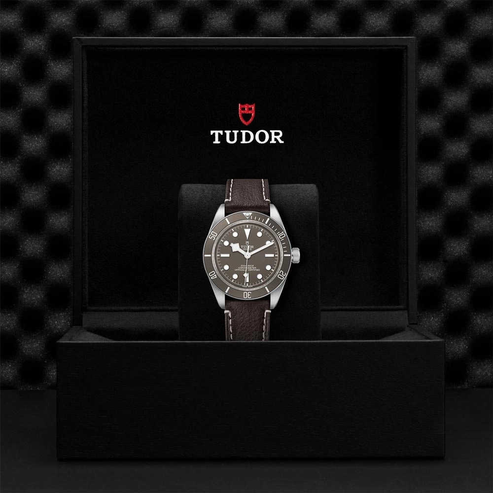 TUDOR Black Bay 58 925 Silver 39mm Taupe Dial Watch M79010SG-0001