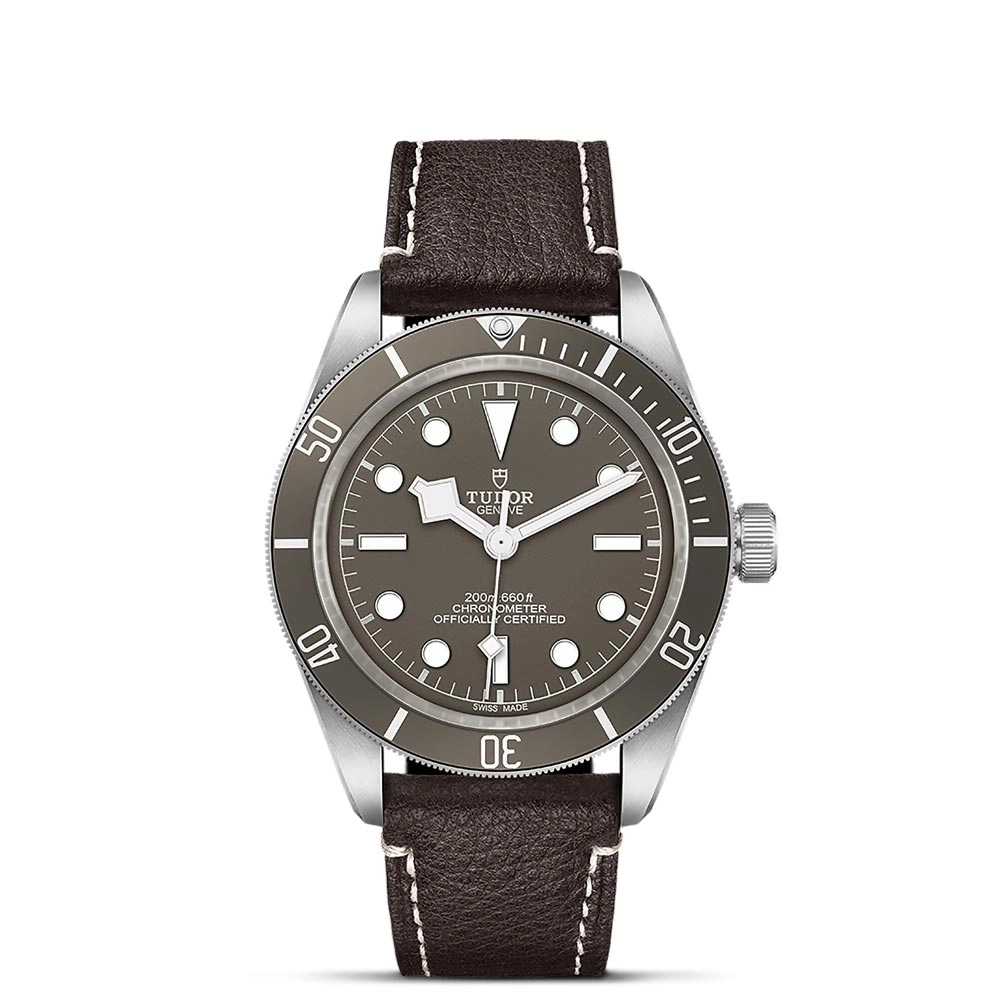 TUDOR Black Bay 58 925 Silver 39mm Taupe Dial Watch M79010SG-0001