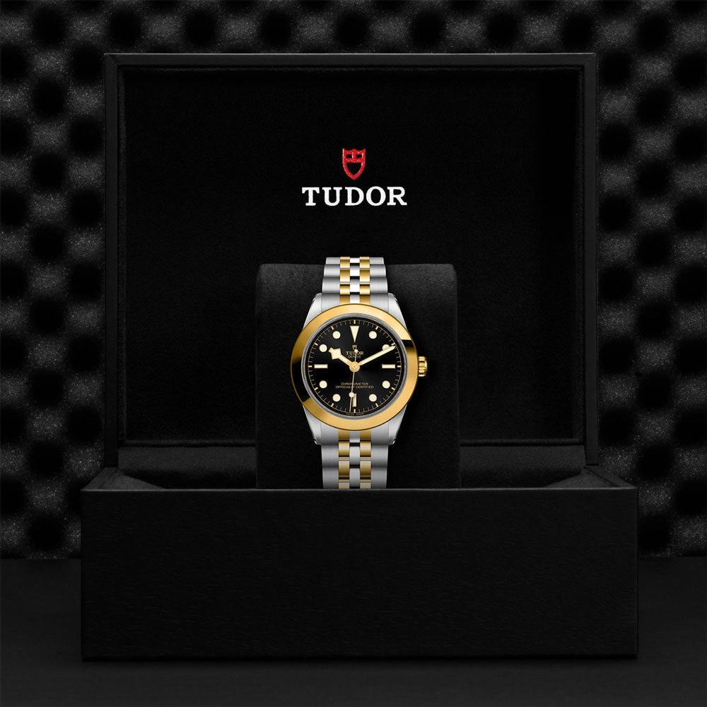 TUDOR Black Bay One 39 S&G Black Dial Steel & Gold Watch M79663-0001